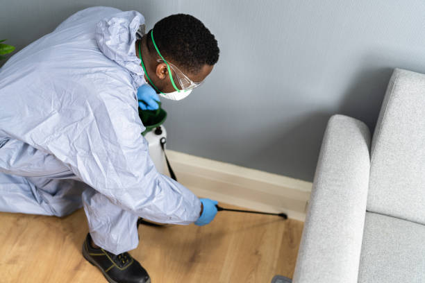 Emergency Pest Control Services in Chagrin Falls, OH